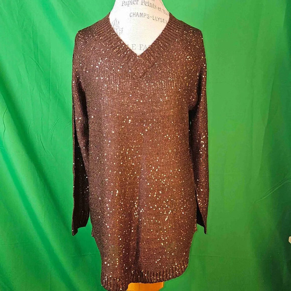 NWT Soft Surroundings Womens Bronze Acrylic Embellished V Neck Sweater Medium - Picture 1 of 5